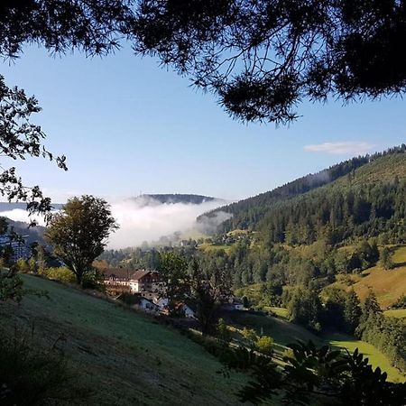 Ferienwohnung Tonbachtal Baiersbronn Exteriér fotografie