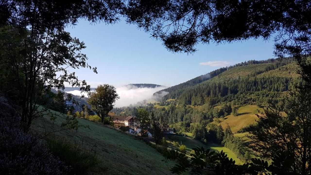 Ferienwohnung Tonbachtal Baiersbronn Exteriér fotografie