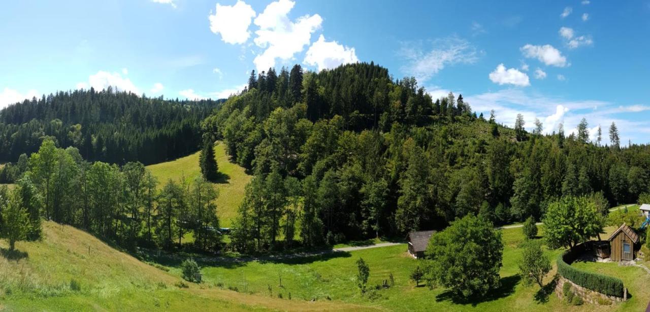Ferienwohnung Tonbachtal Baiersbronn Exteriér fotografie
