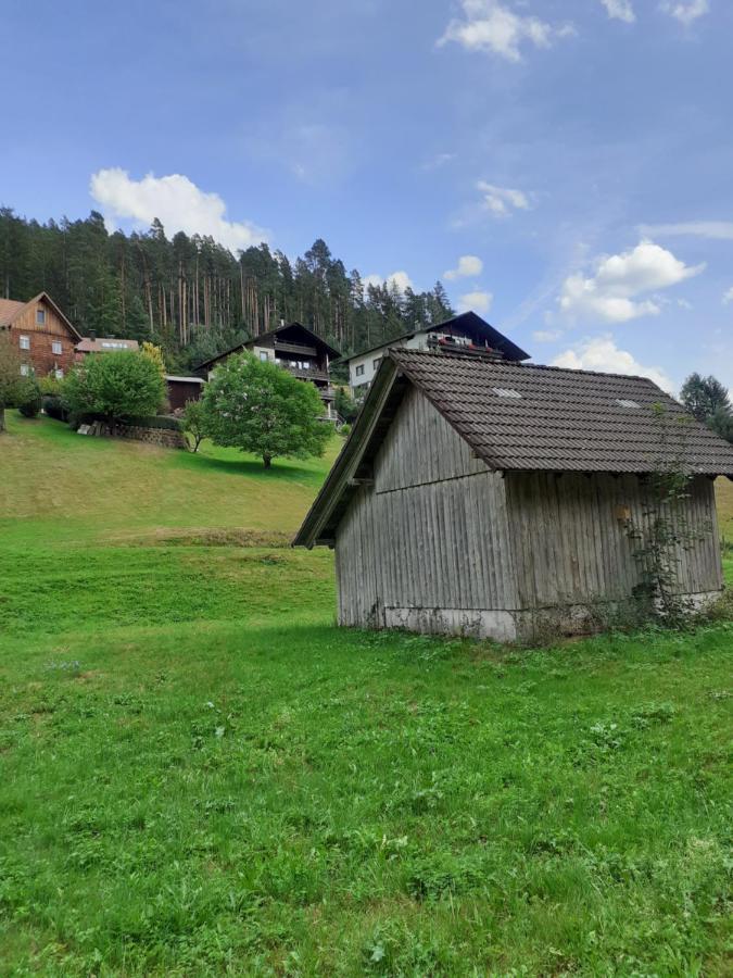 Ferienwohnung Tonbachtal Baiersbronn Exteriér fotografie